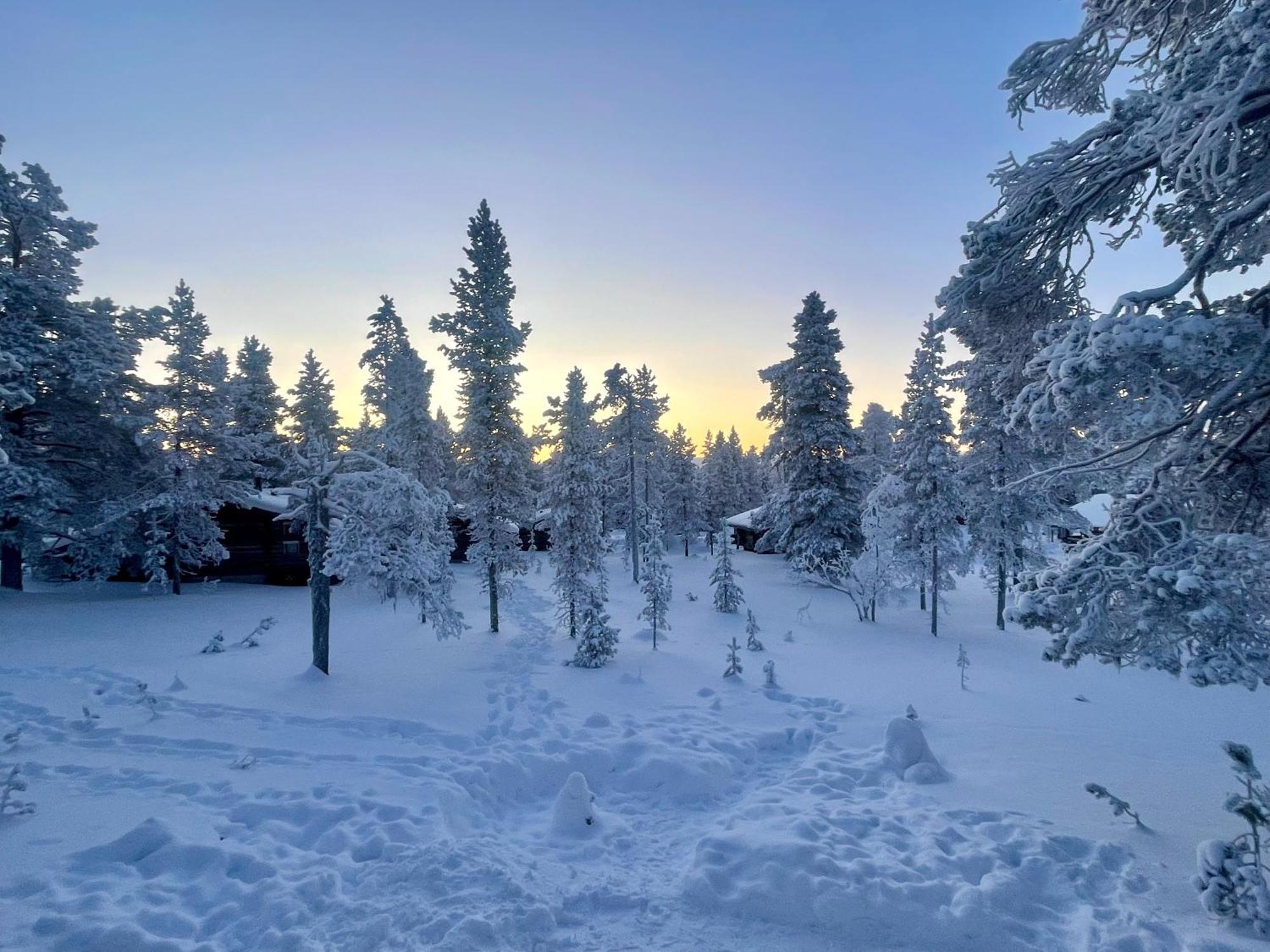 Arctic Log Cabins Saariselka Eksteriør bilde